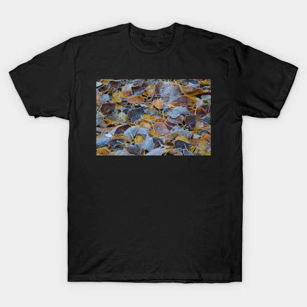 Frosty Leaves T-Shirt by Whisperingpeaks